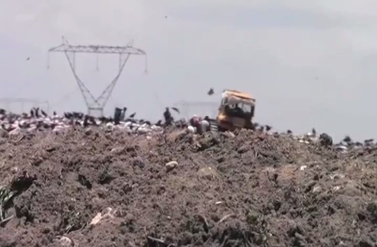 Envían solicitud para la construcción del relleno sanitario, al Congreso del Estado.
