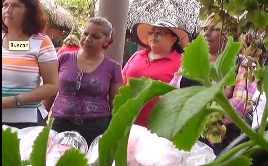 Capacita Quetzalli a profesores del Nivel Primaria en Educación Ambiental.