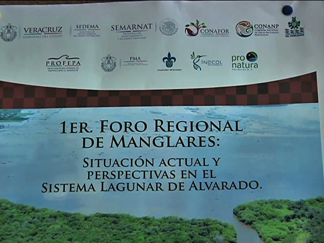 En Tlacotalpan, el primer foro regional sobre manglares