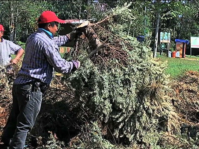 Ayuntamiento de Xalapa inicia campaña “Recicla tu Navidad”