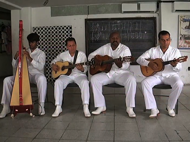 Imparte UV son jarocho como materia