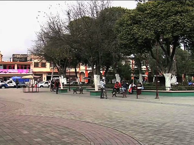 Saldo blanco en Perote durante descenso de temperatura