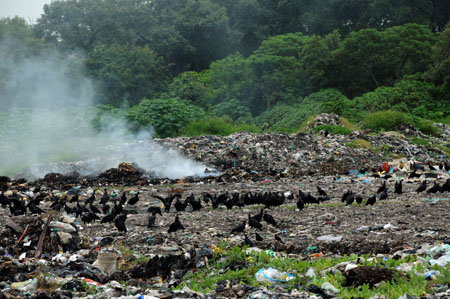 Aumentan los basureros clandestinos en Pánuco