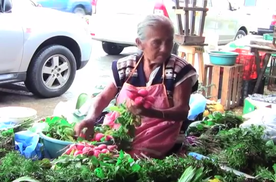 Mujeres Serranas del Sur ejemplo de entrega y de dedicación.