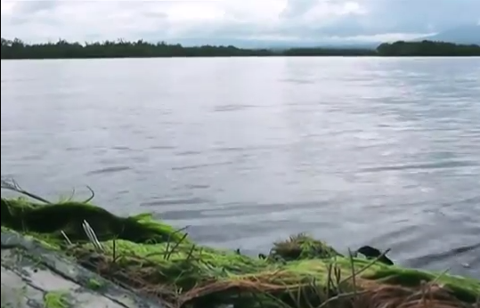 Buscan dragar la Laguna del Ostión ubicado en el Sur de Veracruz.