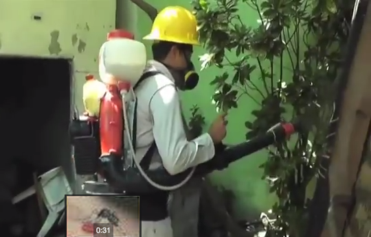 Continúa trabajando la Secretaria de Salud en la Zona Sur para combatir el dengue.