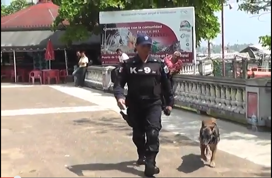 Arribaran agentes caninos a Coatzacoalcos, para su utilización en los operativos de seguridad.