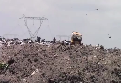 Empresas extranjeras interesadas en la licitación del relleno sanitario de Coatzacoalcos.