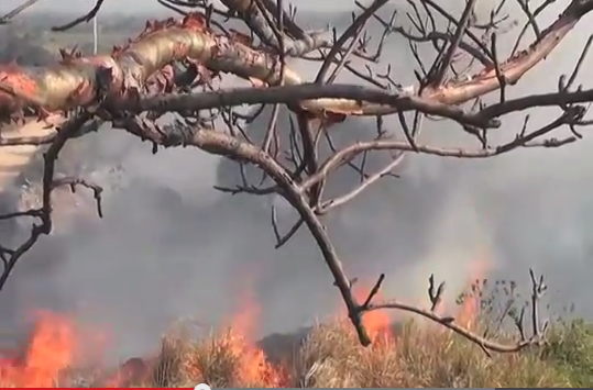 PC en la Zona Sur se declaran listos para atender los incendios forestales que pudieran presentarse.