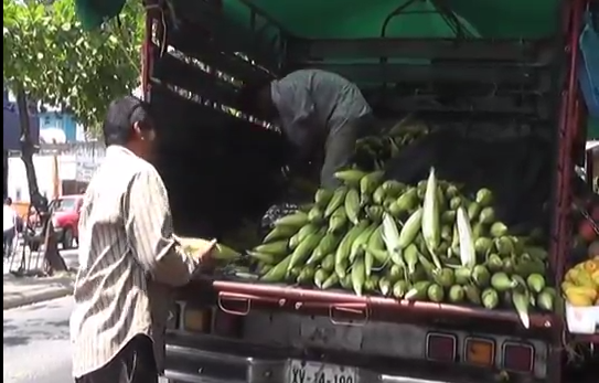 Solicitan productores de Zona Sur recursos para 11 proyectos productivos para comunidades indígenas.