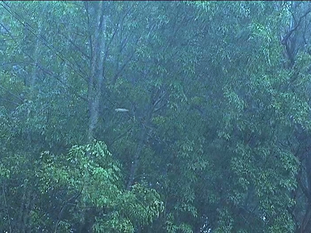 En el Día Mundial del Clima advierten consecuencias de gases de efecto invernadero