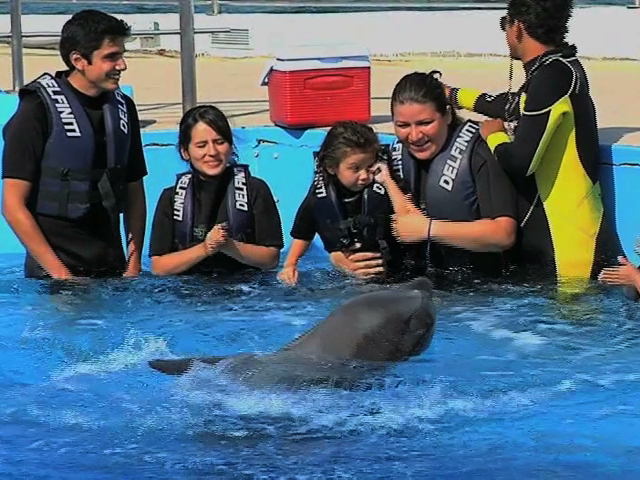 Turistas disfrutan fin de semana largo en el puerto de Veracruz