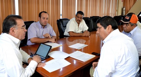 Impulsa Sedarpa la producción de jícama en once municipios veracruzanos