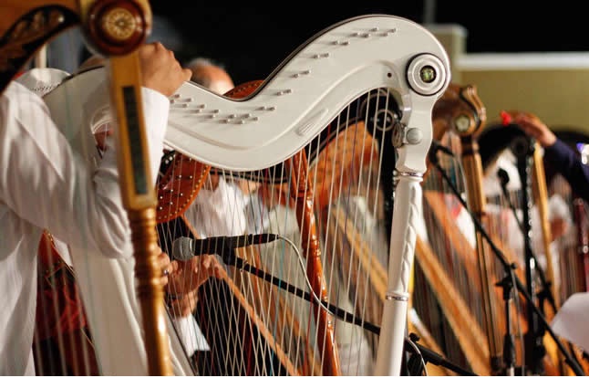 Tercer Festival de Arpa Jarocha, el sonido de Veracruz