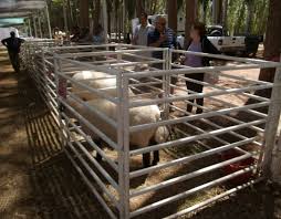 Todo listo en Ixhuatlán para la Expo Caprino 2014