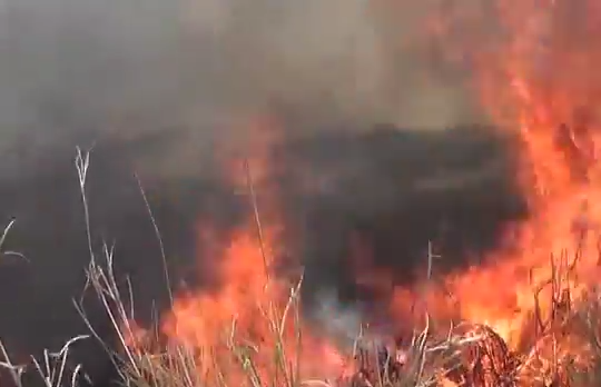 Alerta departamento de bomberos por apertura de basureros en temporada de incendios zona sur.