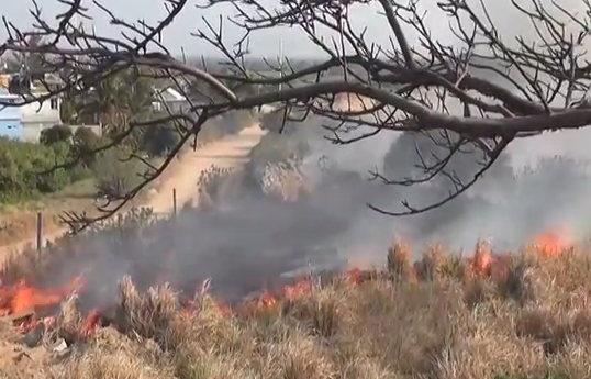 Autoridades Ambientales monitorean pastizales en Zona serrana Sur del Estado para evitar incendios.