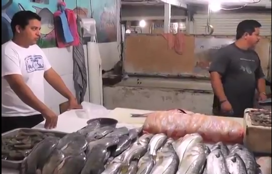 Por temporada de calor se incrementa un 300% la captura local de productos del mar en Coatzacoalcos