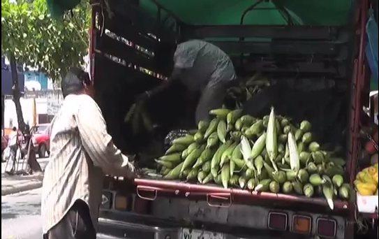 La Dirección de Comercio Exterior facilita la entrada de productos Veracruzanos a países zona sur.