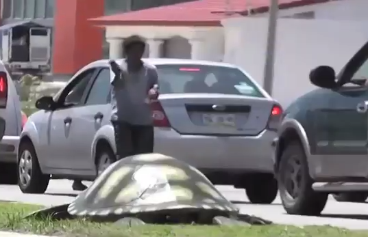 Detecta el DIF Coatzacoalcos menores que trabajaban en la expo feria y playa.