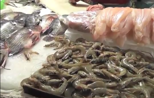 Se incrementa el precio del camarón por falta de permisos de la CONAPESCA Coatzacoalcos.