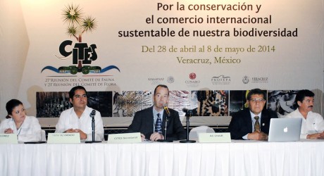 Veracruz, sede de la reunión mundial que regula el comercio internacional sustentable de flora y fauna silvestre
