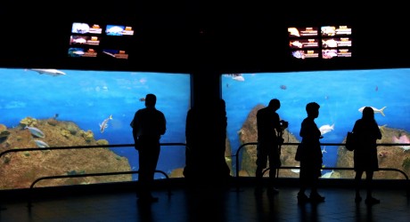 Veracruz, set de grabación de televisoras internacionales