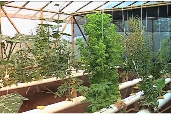 Invita UV al taller infantil de huertos urbanos