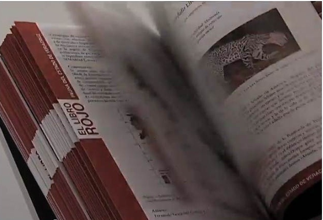 Veracruz contará con un libro rojo único en el país, que describe especies de flora en peligro de extinción