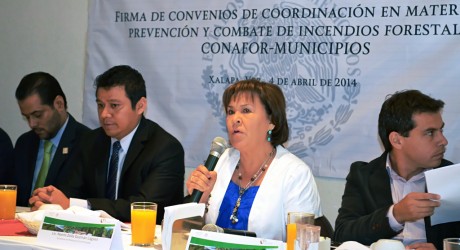 Indispensable reforzar acciones para reducir riesgos de incendios forestales: PC