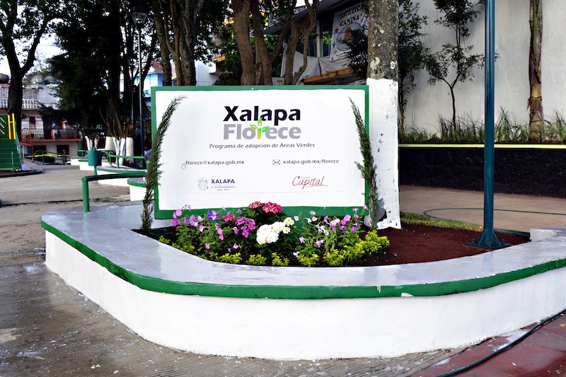 Activan programa “Xalapa florece” para rescatar áreas verdes