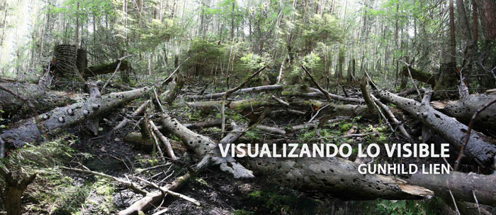 Continúa “Visualizando lo visible” en el Centro Recreativo Xalapeño