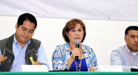En Veracruz se brinda enfoque prospectivo y preventivo por deslizamientos de laderas: PC