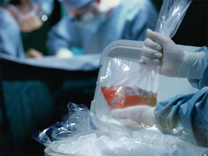 Congreso del Estado propone fortalecer cultura de donación de órganos