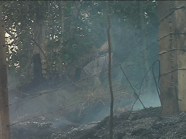 Vecinos sofocan incendio en pastizal de Xalapa