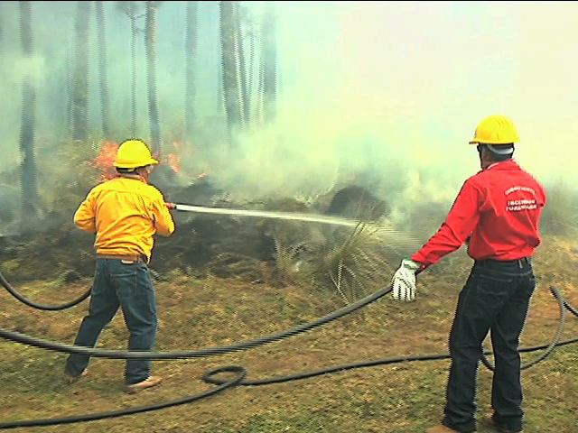 México, pionero en el combate de incendios forestales en América Latina