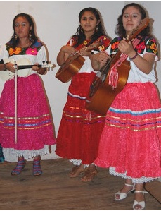 Córdoba, sede del IX Encuentro de Son Jarocho