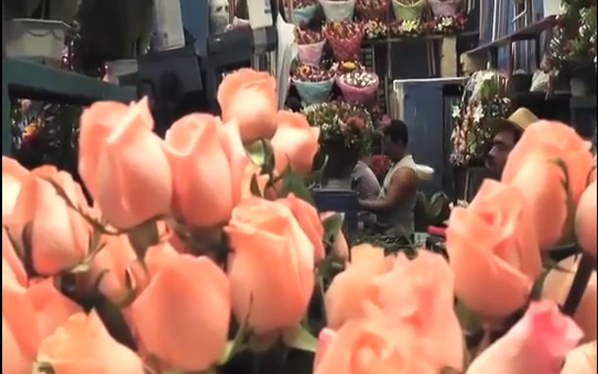Más de dos mil pesos puede costar un arreglo floral este 14 de febrero