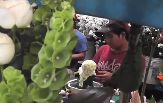 PROFECO zona sur reporta que durante el día de las madres no se captaron quejas.