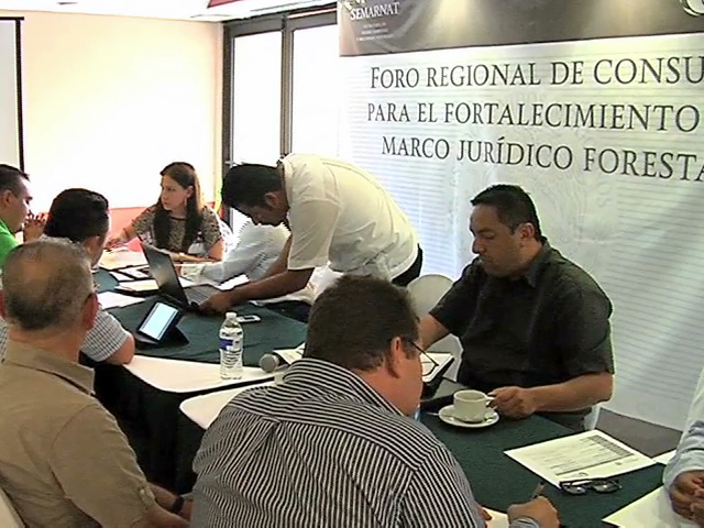 Conafor Veracruz propone abrir a nuevas áreas el aprovechamiento forestal