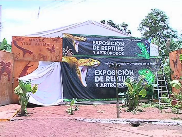 Con gran fluencia continúa Expo Feria del  café en Coatepec