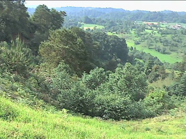 Habitantes de Acajete reforestarán la Barranca del Fraile