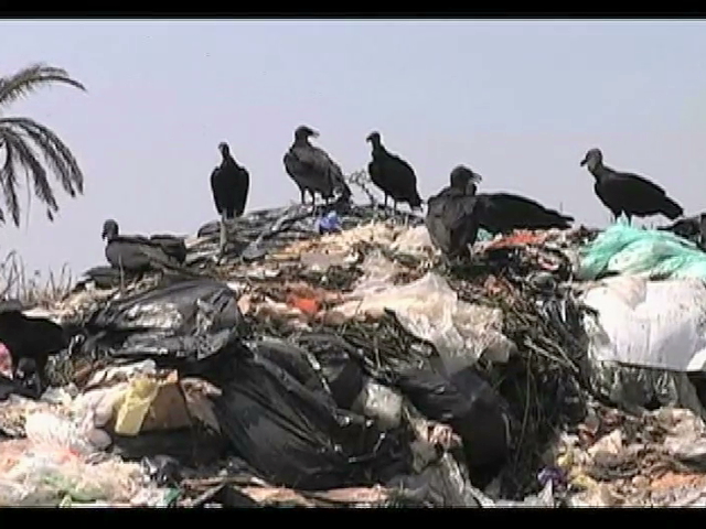 En tiraderos clandestinos, más de la mitad de basura de Veracruz
