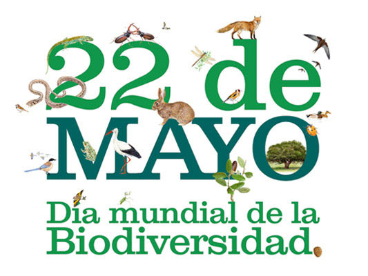 Se suma Veracruz a la conciencia ambiental en el Día Internacional de la Diversidad Biológica