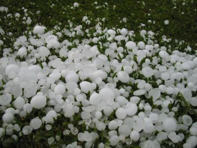 Sin afectaciones por sequía, sí por granizadas en zona centro de Veracruz: Sedarpa