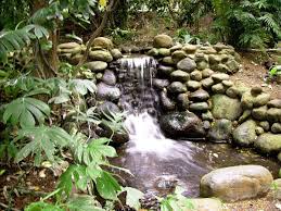 Manantiales podrían abastecer de agua a Xalapa