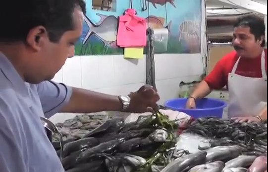 Se Incrementa captura de pescados y mariscos en Aguas Locales de la zona sur de Veracruz.