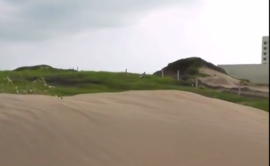 Coatzacoalcos cuenta con un Reordenamiento Ecológico actualizado, informan Autoridades Municipales.