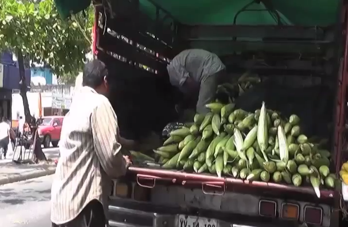 Instalaran Huertos en Colonias de Coatzacoalcos, para que vecinos cosechen sus hortalizas.
