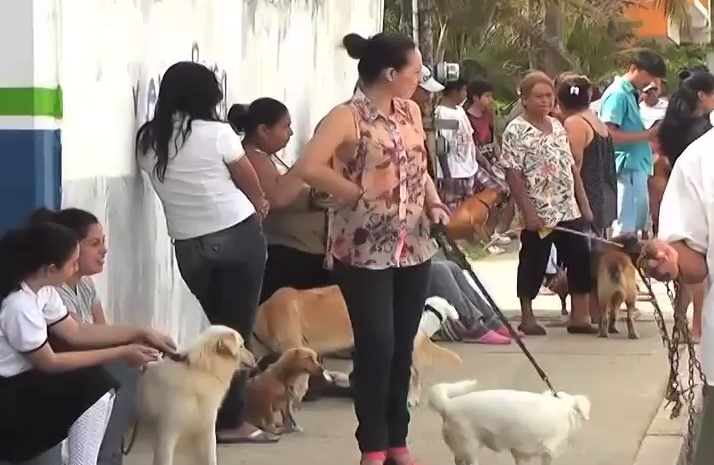 Verificaran que las Veterinarias de Coatzacoalcos,  cuenten con los adecuados para las mascotas.